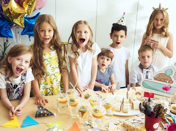 foto_begovic_djeciji_rodendan_6